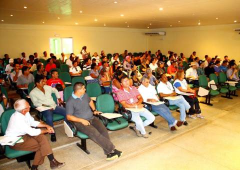 Embrapa lança cupuaçuzeiro mais produtivo
