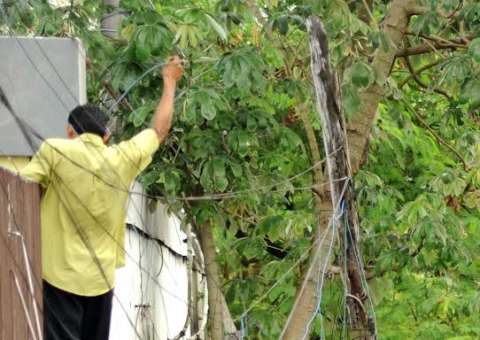 Eletrobras Amazonas Energia alerta para riscos de acidentes na rede elétrica 