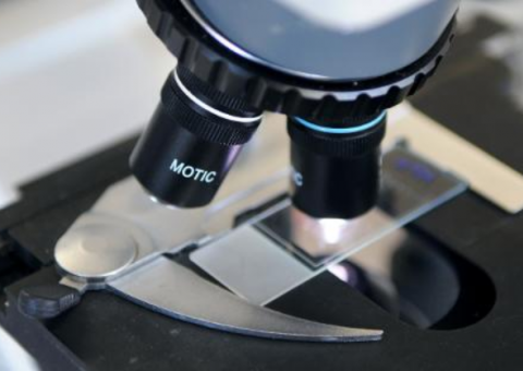 Começam nos EUA testes de implantes de vacina anticâncer