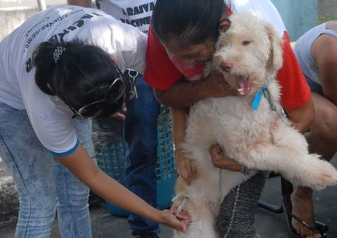 Prefeitura vacinou mais de 68 mil animais em Manaus