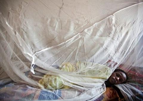 Nova vacina contra malária reduz infecções em 72%