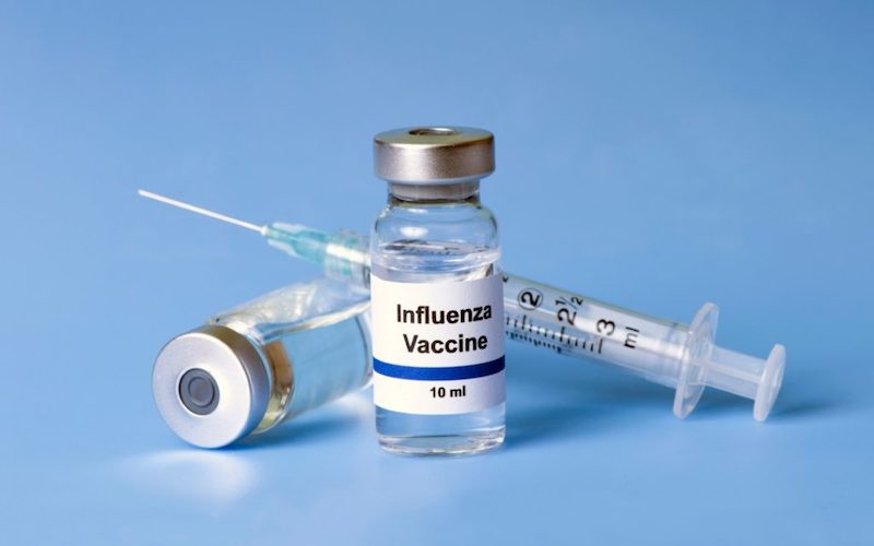 vacina_influenza_virus_gripe_2.jpg
