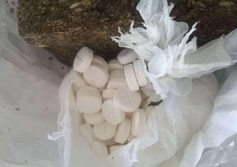 Mulheres em Tocantins tentam imitar caso do Amazonas e são flagradas com drogas nas partes íntimas