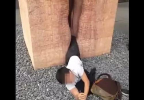 Rapaz fica preso em vagina gigante