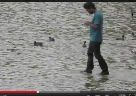 Homem andando sobre a água em parque