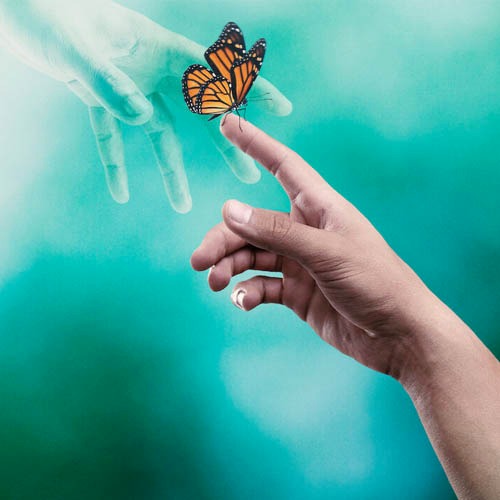 Novo documentário da Netflix, Surviving Death fala sobre vida após a morte