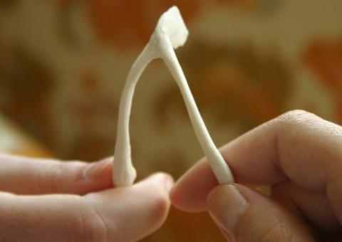 Galinha mata vigilante