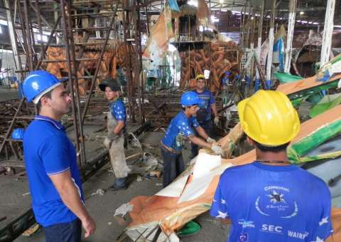  Um ‘boi novo’ em busca do título do festival de 2014