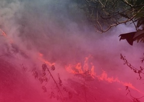 Incêndio de grandes proporções atinge área verde da Zona Leste de Manaus